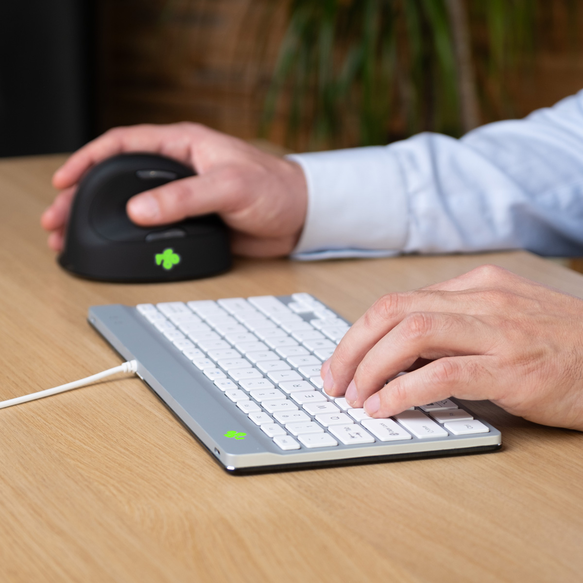 R-Go Compact Break (wit, bedraad, QWERTY – US)