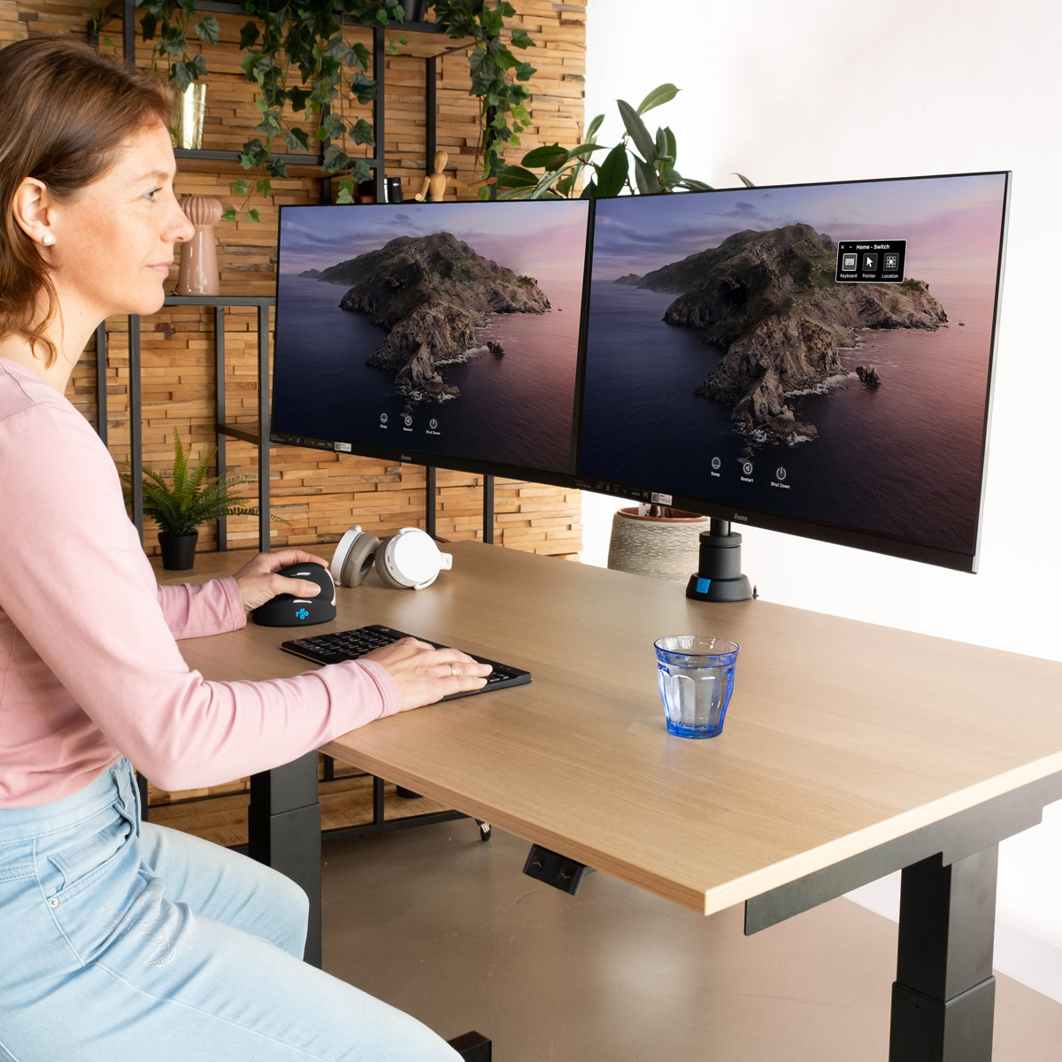 R-Go Dubbele monitorarm Caparo (gasvering)